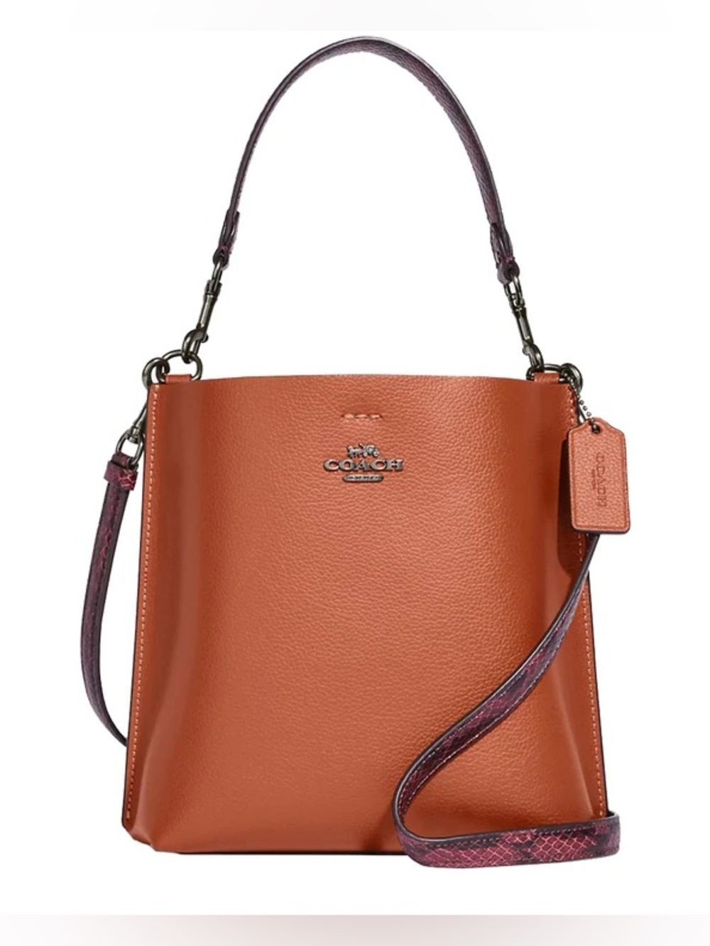Coach Mollie Bucket Bag 22